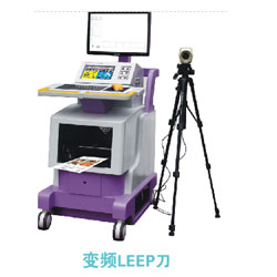 QL/LEEP-III （******型）高频妇科治疗机